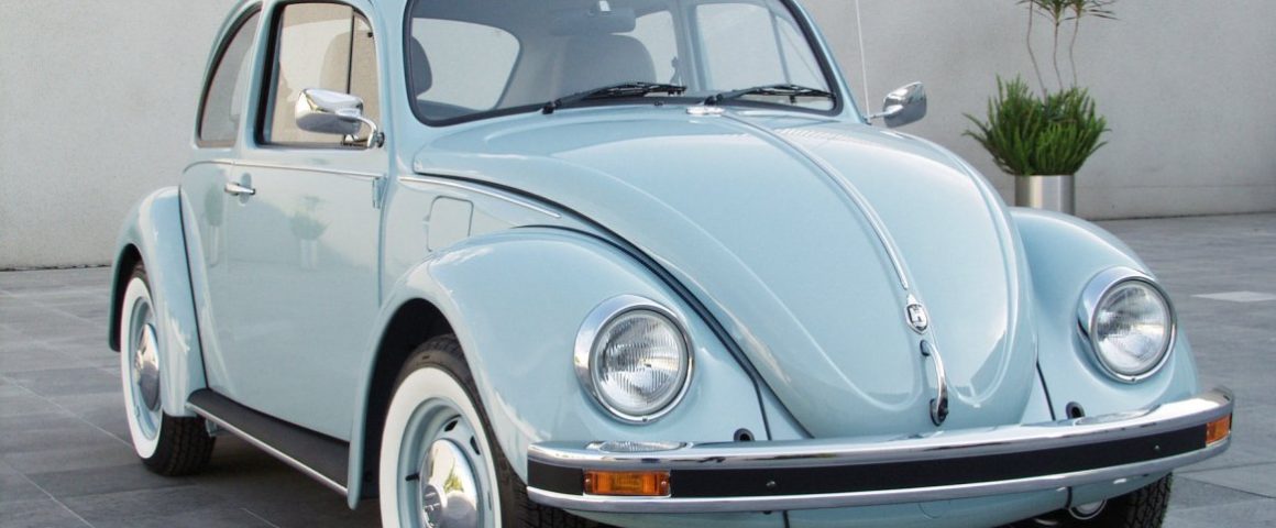 the last beetle