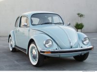 the last beetle